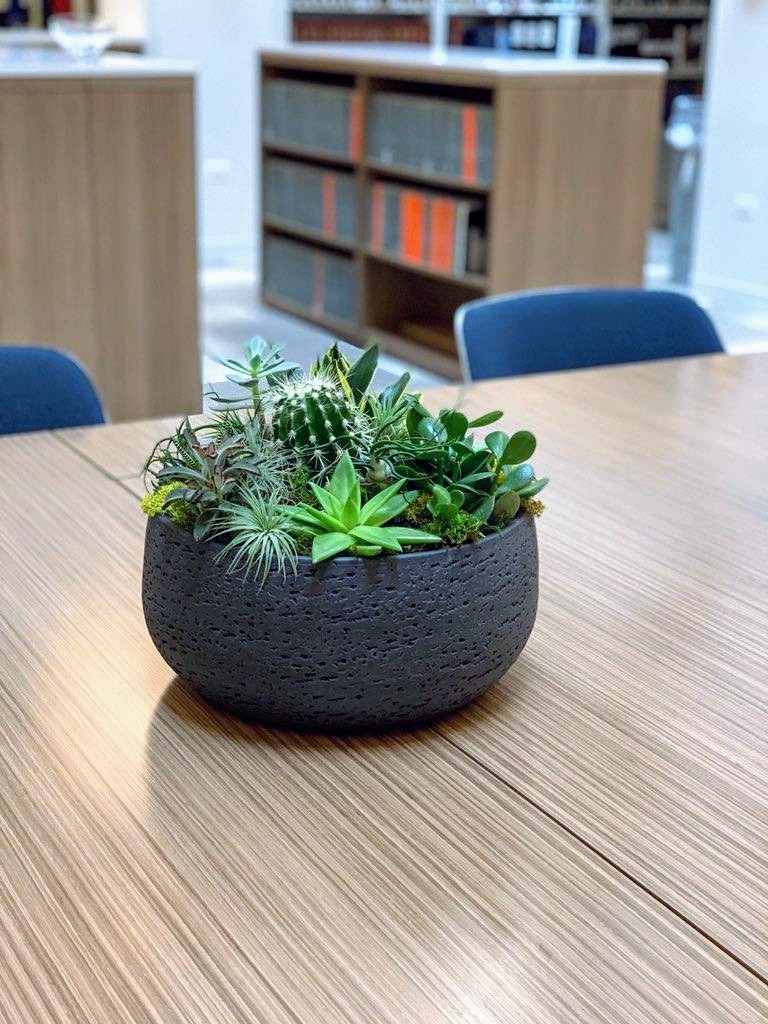 A succulent arrangement in a planter on top of a table