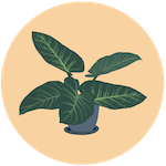 Small Plant Icon 4