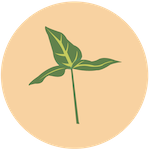 Small Plant Icon 10