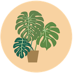 Small Plant Icon 12