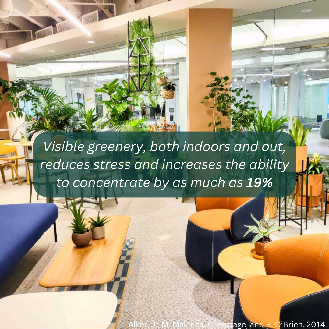An image with furniture and many indoor office plants in the background. In the foreground is a quote, "Visible greenery both indoors and out, reduces stress and increases the ability to concentrate by as much as 19%.