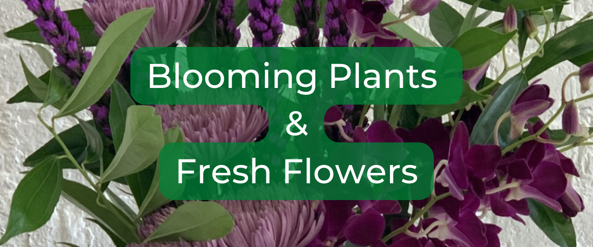 A close up of a fresh flower arrangement with the text "Blooming Plants & Fresh Flowers" in the foreground